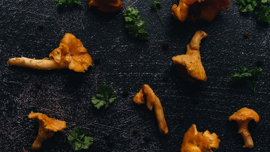 Frische Pfifferlinge, Quelle des Chanterelle-Pilzextrakts in der Root Forge Haarmaske und im Conditioner